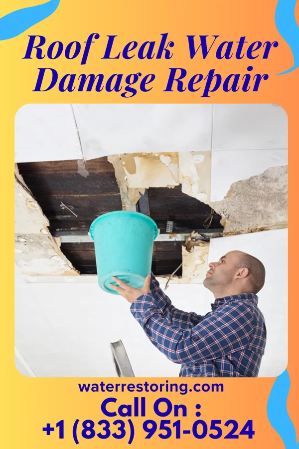 Roof Leak Water Damage Repair in Mineral City, OH