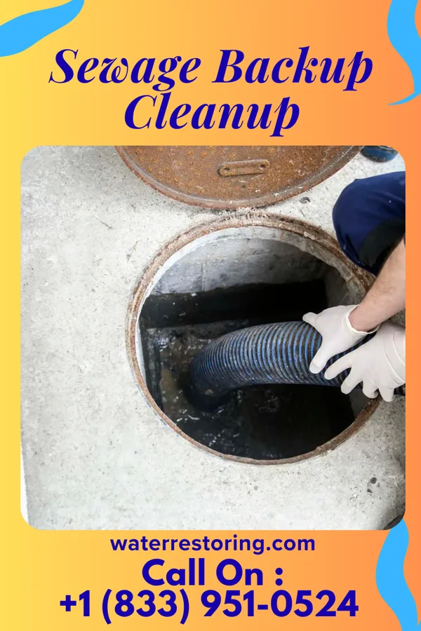 Sewage Backup Cleanup in Mineral City, OH