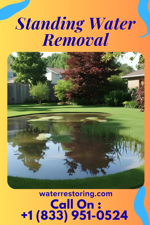 Standing Water Removal in Mineral City, OH